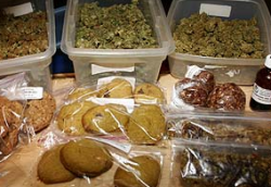 These kind of goodies may soon be legal for everyone, not just medical patients.